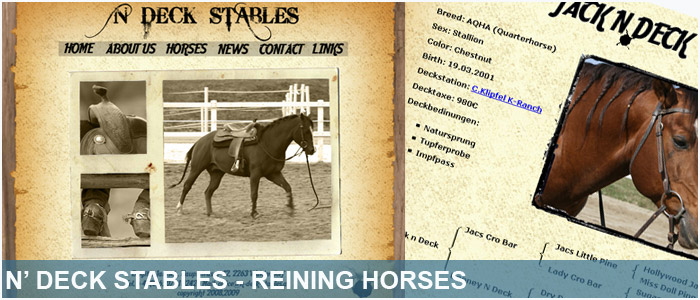 N Deck Stables Reining Horses