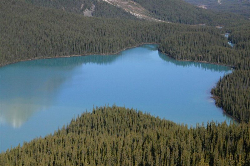 Banff NP - Peyto Lake 2