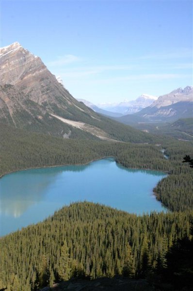 Banff NP - Peyto Lake 3