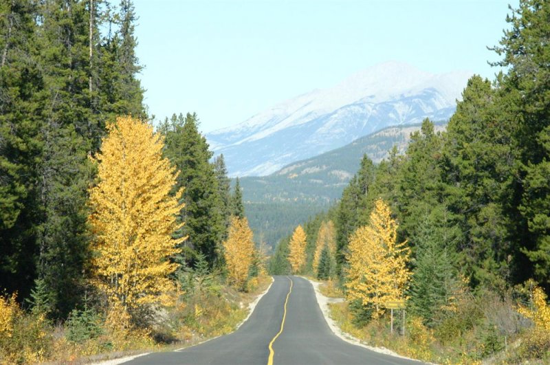 Jasper NP - Road to Mt. Cavell