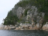 Landschaft bei Telegraph Cove