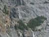 Banff NP - Wheeping Wall