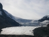 Jasper NP - Columbia Icefield