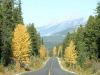 Jasper NP - Road to Mt. Cavell