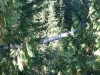 Vancouver - Capilano Suspension Bridge