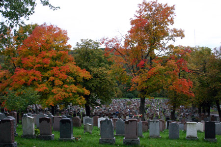 Indian Summer am Notre Dame Friedhof