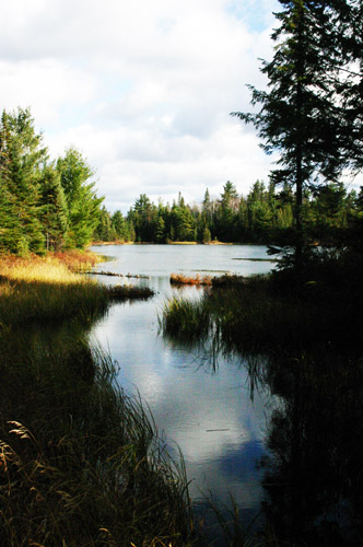 Auch der Algonquin Park kann sich sehen lassen