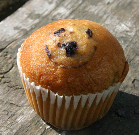 bild_muffin